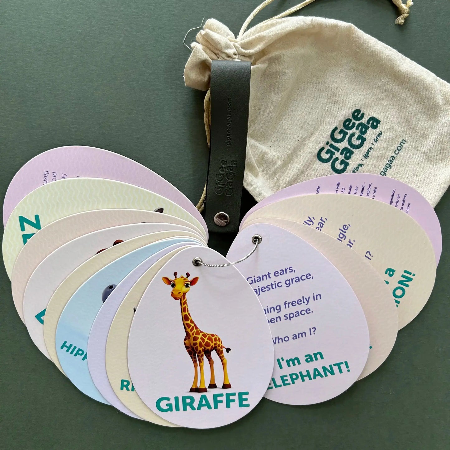 3D Wild Animal Flashcards – Interactive Learning for Kids GiGeeGaGaa