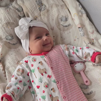 High Contrast Hanging Flashcards for Newborns & Infants